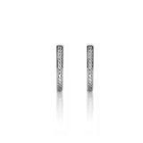 Delicate Diamond Earrings