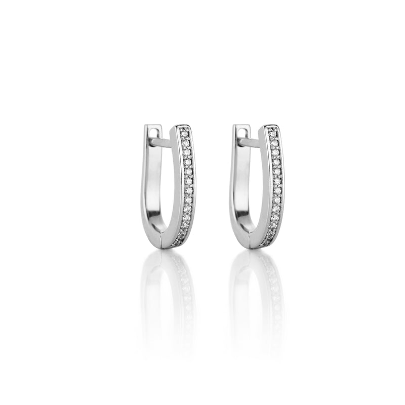 Delicate Diamond Earrings